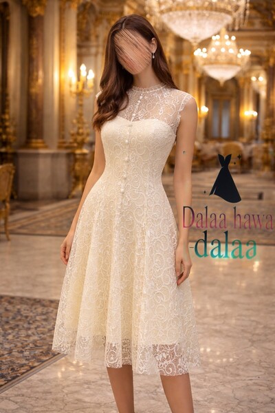 dalaa lace dress