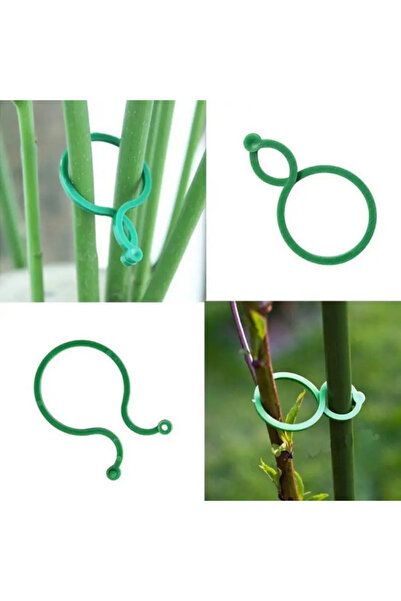 Choice1 50 قطعة خضراء، 50/100 قطعة ، إبزيم بلاستيك لربط الكرمة، حلقات تثبيت، ...