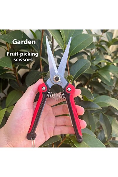 Choice مقص تقليم الأغصان قطعة واحدة، مصنوع من الفولاذ المقاوم للصدأ، بمقبض ما...