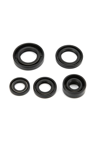 Choice Engine Oil Seal Set Kit Accessory for Lifan 110cc 125cc 140cc PIT PRO ...