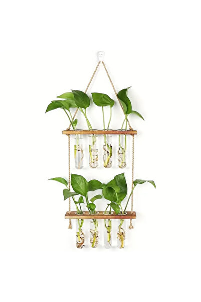 Choice G3401A 2nd floor Creative green radish ponic plant glass transparent v...