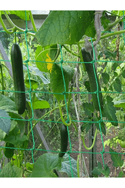 Choice3 شبكة خضراء مضادة للطيور، مقاس 1.8 متر × 3.6 متر، لحماية البرك والمساب...