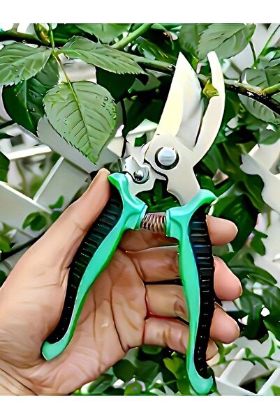 Choice Green-Small Garden Pruning Shears Professional Gardening Scissors for ...