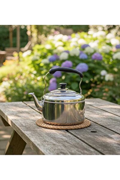 AKDC غلاية صفير كبيرة جدًا من الفولاذ المقاوم للصدأ من AFCO سعة 10 لترات