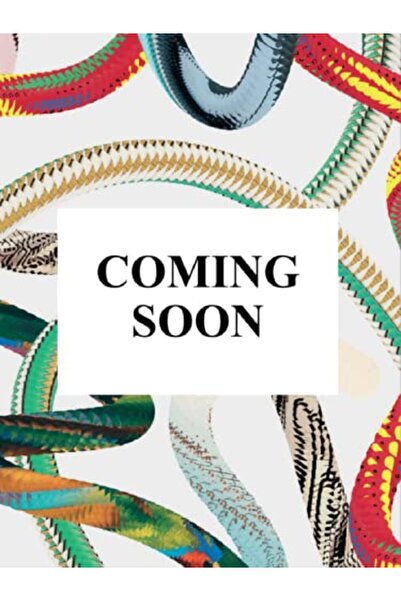 Taschen تينا تيرنر بريشة بيتر ليندبيرغ