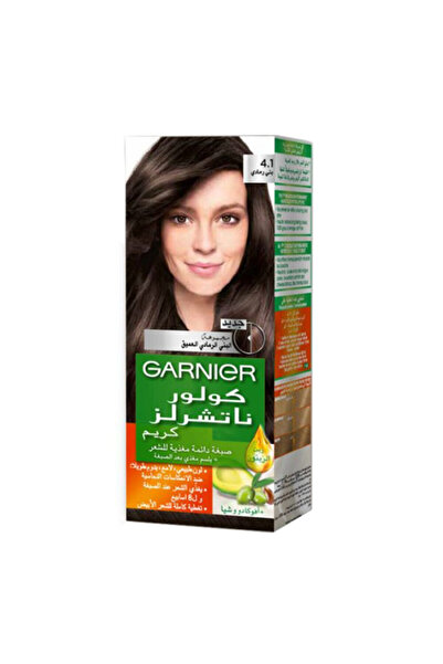 Garnier Color Naturals Tube Ashy Brown - 4.1