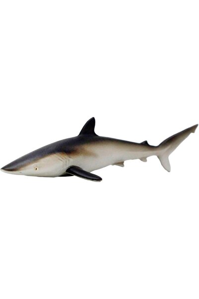 Safari Rechinul Matasos