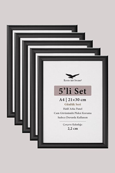 Raven Art Studio SET DE 5- A4 - 21cm x 30cm ușor Panouri din spate din plexig...