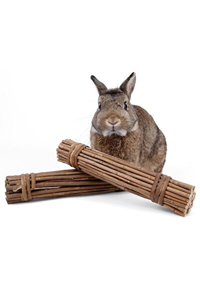 BFHOME Kemirgenler için Elma-Ayva Dalı 20 Adet hamster,ginepig,tavşan