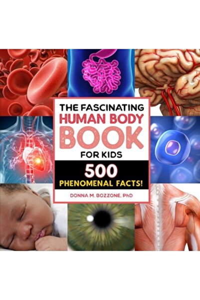 Rockridge Pr The Fascinating Human Body Book for Kids: 500 Phenomenal Facts!