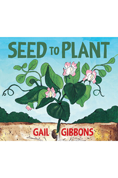 Holiday House Inc Sămânță de plantat