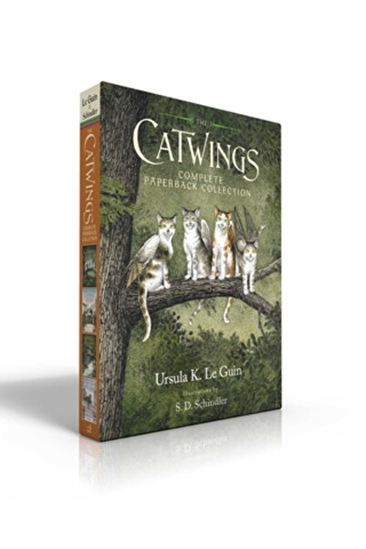 Simon & Schuster Books You Colecția completă de cărți tipărite „Aripi de pisi...