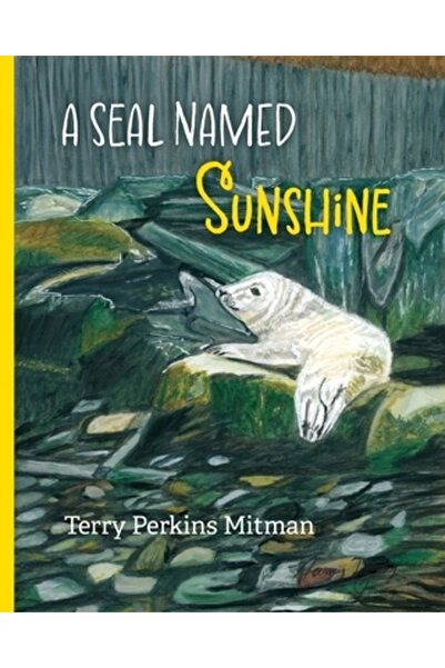 INDEPENDENT CAT O focă numită Soare: Povestea lui Soare și a tuturor celorlal...