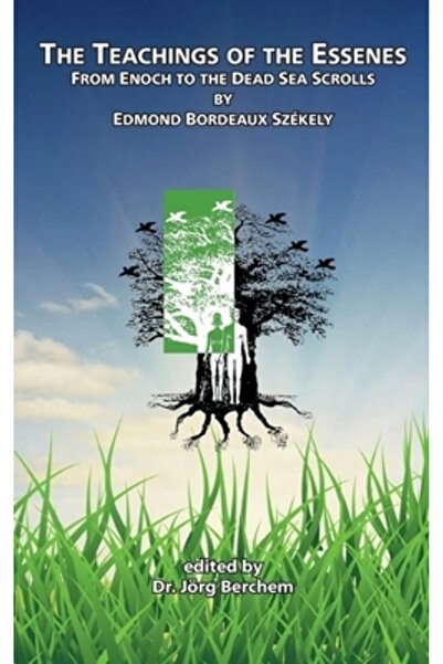 Books On Demand Învățăturile esenienilor: de la Enoh la manuscrisele de la Ma...