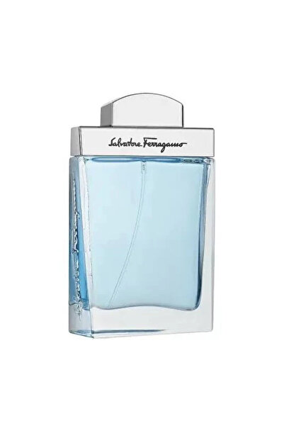 Salvatore Ferragamo Salvatore F Subtil Pour Homme Fresh Eau De Toilette 50ml