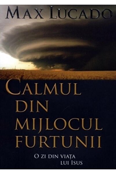 Editura Scriptum Calmul din mijlocul furtunii. O zi din viata lui I