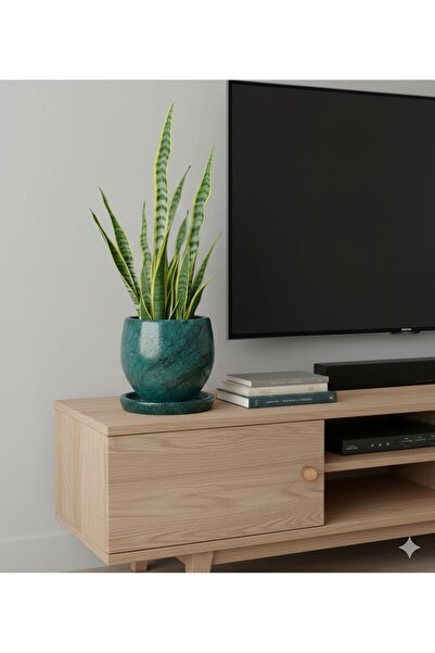 EFFE POT & DECORATİON Hestia Desenli Model Hafif Beton Dekoratif Saksı 20x20cm