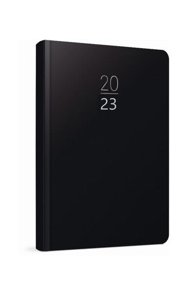 Gıpta 2020 100-ECK 14x20 Eski Günlük Ajanda