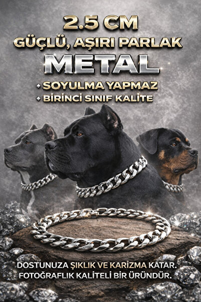 LOOL PREMİUM METAL GÜMÜŞ KÖPEK TASMA KALIN ZİNCİRİ TASMA