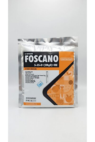 Momentum Foscano Bitki Besleme