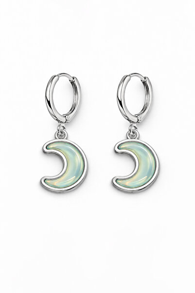 MakeWell Butterfly Star Clover and Crescent Figure Dangle Hoop Earrings Silve...