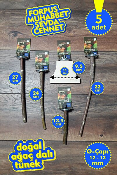 Vixpet مجموعة فينتي المكونة من 5 قطع من عناوين الببغاء الطبيعية |   ستانت تون...