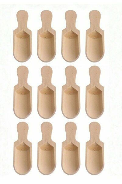 Eurasia Home 12 Mini Shovel Spice Spoons