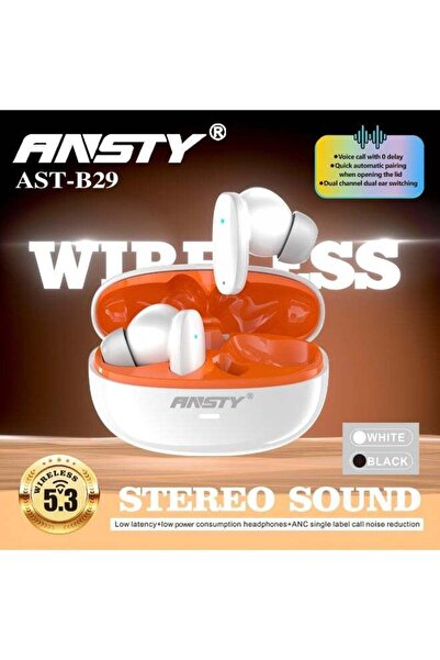 ANSTY AST-B29 Stereo Sound Wireless Earbuds