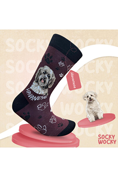 Socky Wocky Unisex Cotton Socks - Ideal for Gifts - with Printed