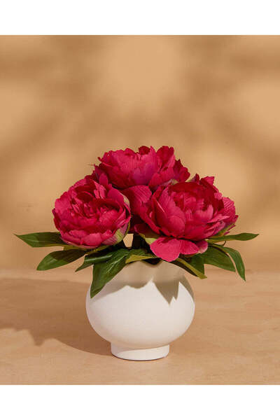 REDTAG زهرة الفاوانيا الاصطناعية ذات اللون العنابي في مزهرية (ارتفاع 24 سم × ...