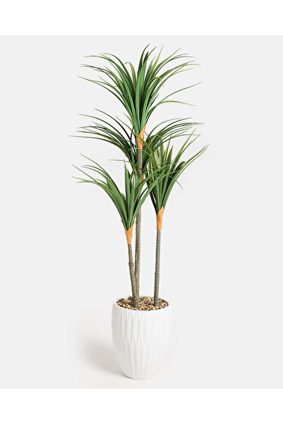REDTAG Artificial Dracaena Marginata Plant In Pot 135Cm