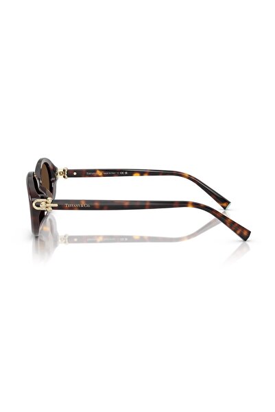 Tiffany&Co Co. Tf 4242D 80153g 54 Women's Oval Gray Brown Bone Sunglasses