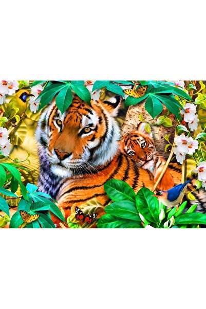 Bluebird Παζλ 1500 κομμάτια - Ρόμπινσον Χάουαρντ: Στις Σκιές (Bluebird-Puzzle...