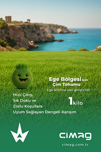 Ege Bölgesine Özel Çim Tohumu - 1 Kilo