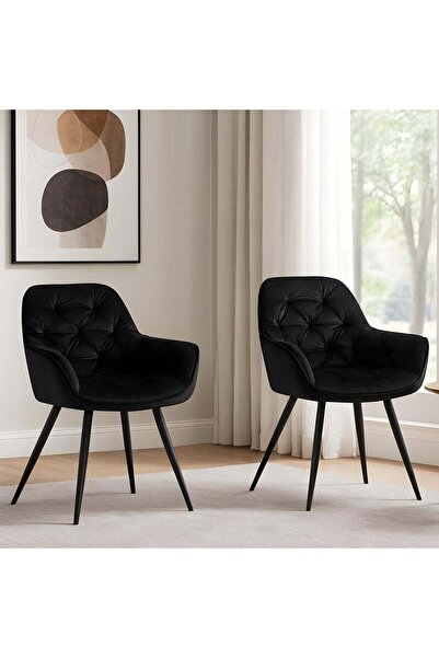 Elindor Set of 2 Elindor® Ergonomic Chairs, Modern and Elegant, Seat Width 49...