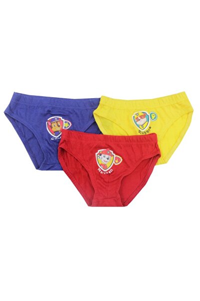 PAW PATROL Set of 3 Cotton Briefs, Paw Patrol, Multicolor