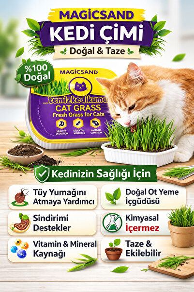 magicsand %100 Doğal Kedi Çimi File HEDİYELİ - Tüy Yumağı Önleyici Etkili Sin...