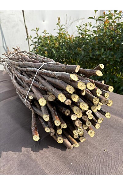 Arel Tarım Aşı Çubuğu Chandler – 100 cm (5’li Paket)