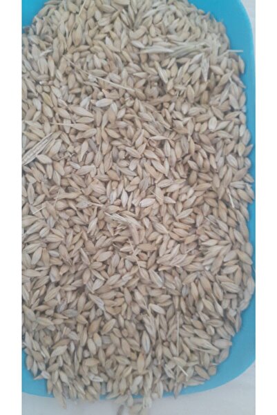 BFHOME Arpa doğal ve organik 250 gr tam arpa
