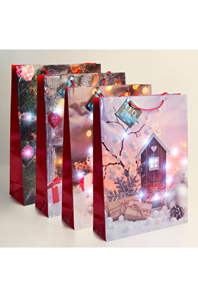 FAMİLY Gift bag - 10 paper LED cool white - 330 x 102 x 457 mm - 4 types / pack