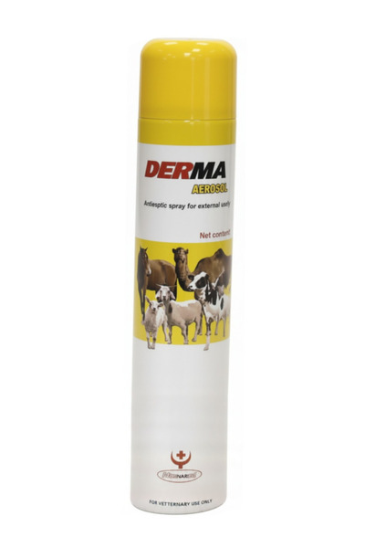 aerosol بخاخ ديرما المطهر للجروح للحيوانات 200 مل