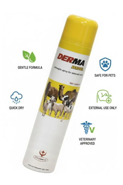 aerosol Derma Antiseptic 200ml Spray – Animal Wound Care & Infection Protect