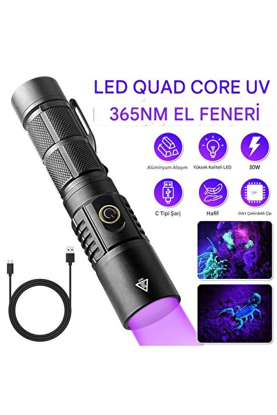 Saule 30W 365NM Profesyonel Güçlü Mor UV Işık Para Kontrol Feneri UV Lamba