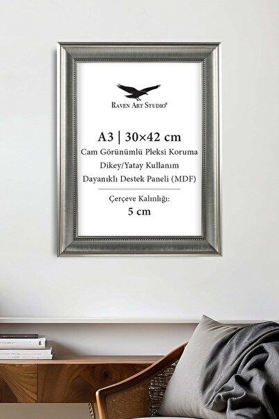 Raven Art Studio Nova A3-30x42cm Platinum Picture Foto Document Poster Ramă p...