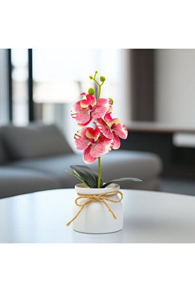 OEM Artistic decoration - orchids - pink - 20 x 9 cm