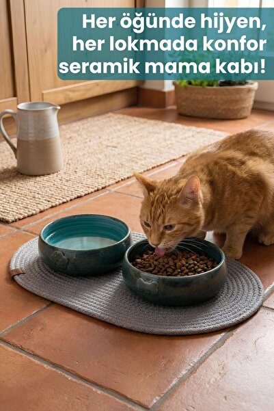 Pawicci 2'li Seramik MOSS GREEN Mama Kabı Kedi ve Köpekler için Kaydırmaz Paspaslı Mama ve Su Kasesi 600 ml