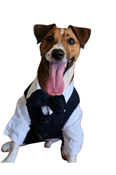 KÖPEK TAKIM ELBİSE-LACİVERT EKOSELI
