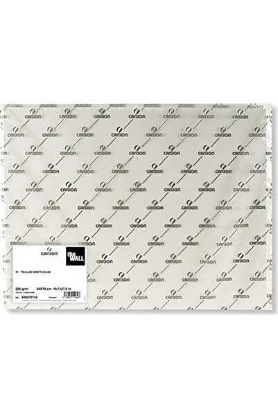 Canson The Wall 220gr 50x70cm