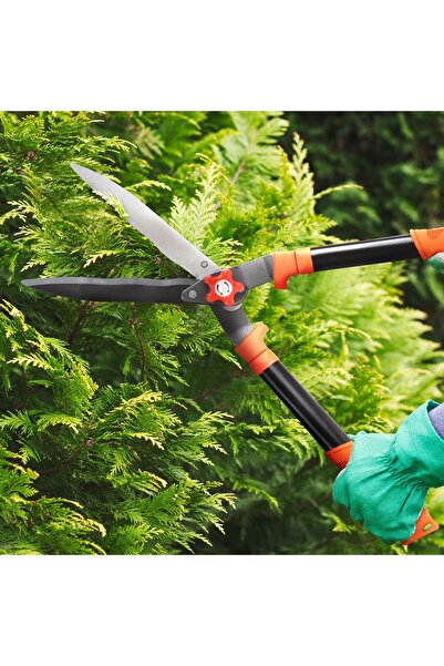 Garden of Eden Cleme pentru gard viu - 200 mm