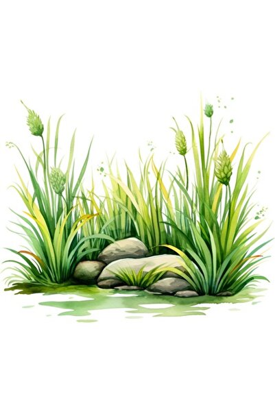 OEM Autocolant decorativ, Iarbă și pietre, Verde